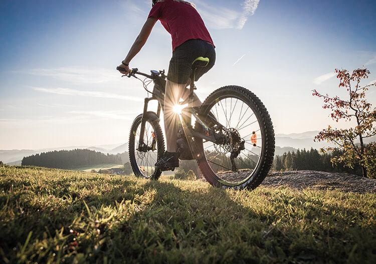 Mountainbike  © Mühlviertler Alm