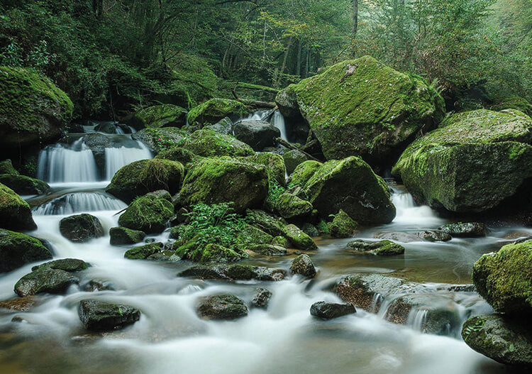 Pesenbachtal © M.Peneder Photography